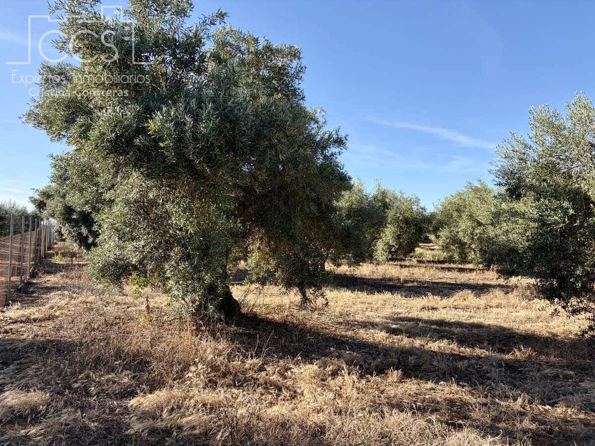3 soveværelse Finca/Landehus til salg i Pilas med swimmingpool - € 180.000 (Ref: 9935410)