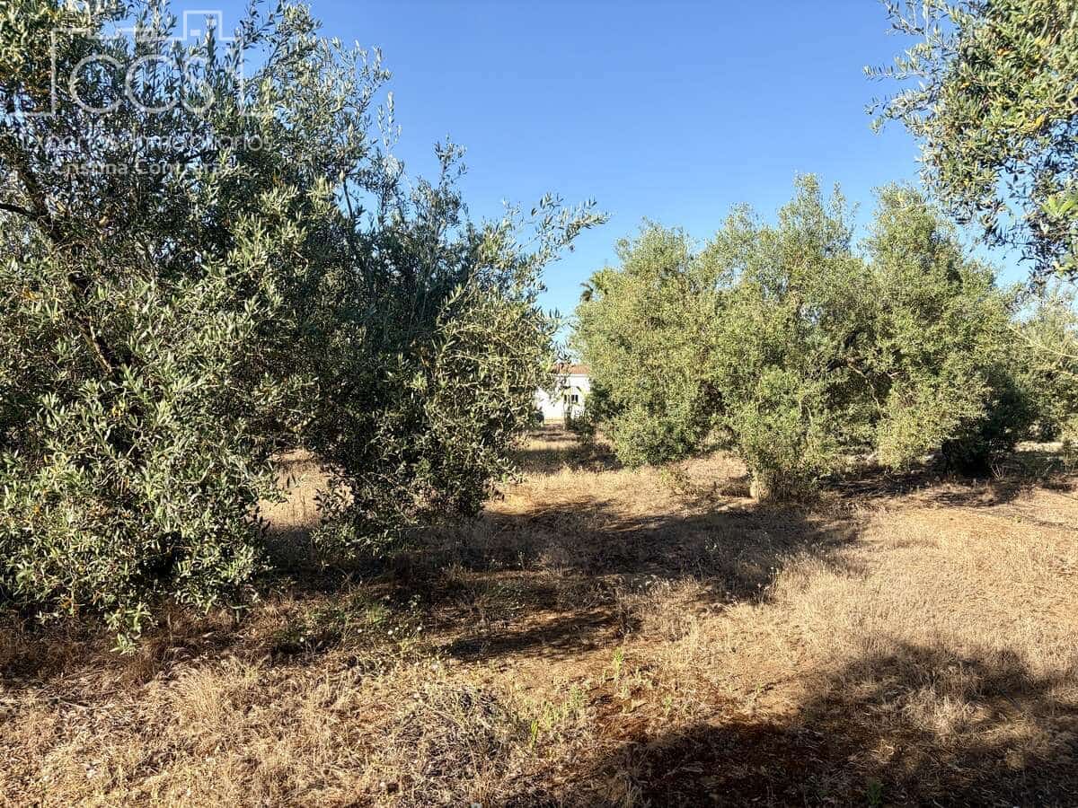 3 soveværelse Finca/Landehus til salg i Pilas med swimmingpool - € 180.000 (Ref: 9935410)