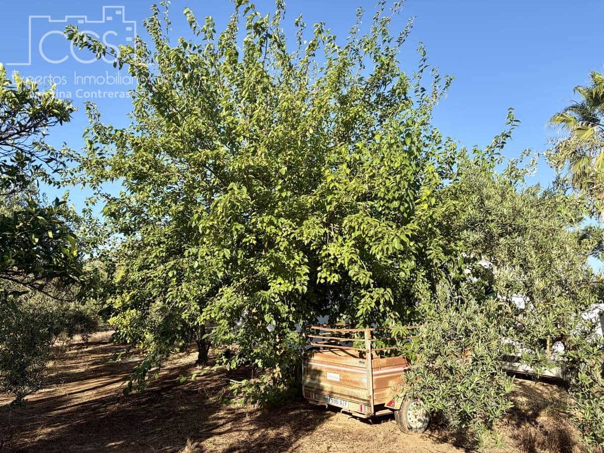 3 soveværelse Finca/Landehus til salg i Pilas med swimmingpool - € 180.000 (Ref: 9935410)