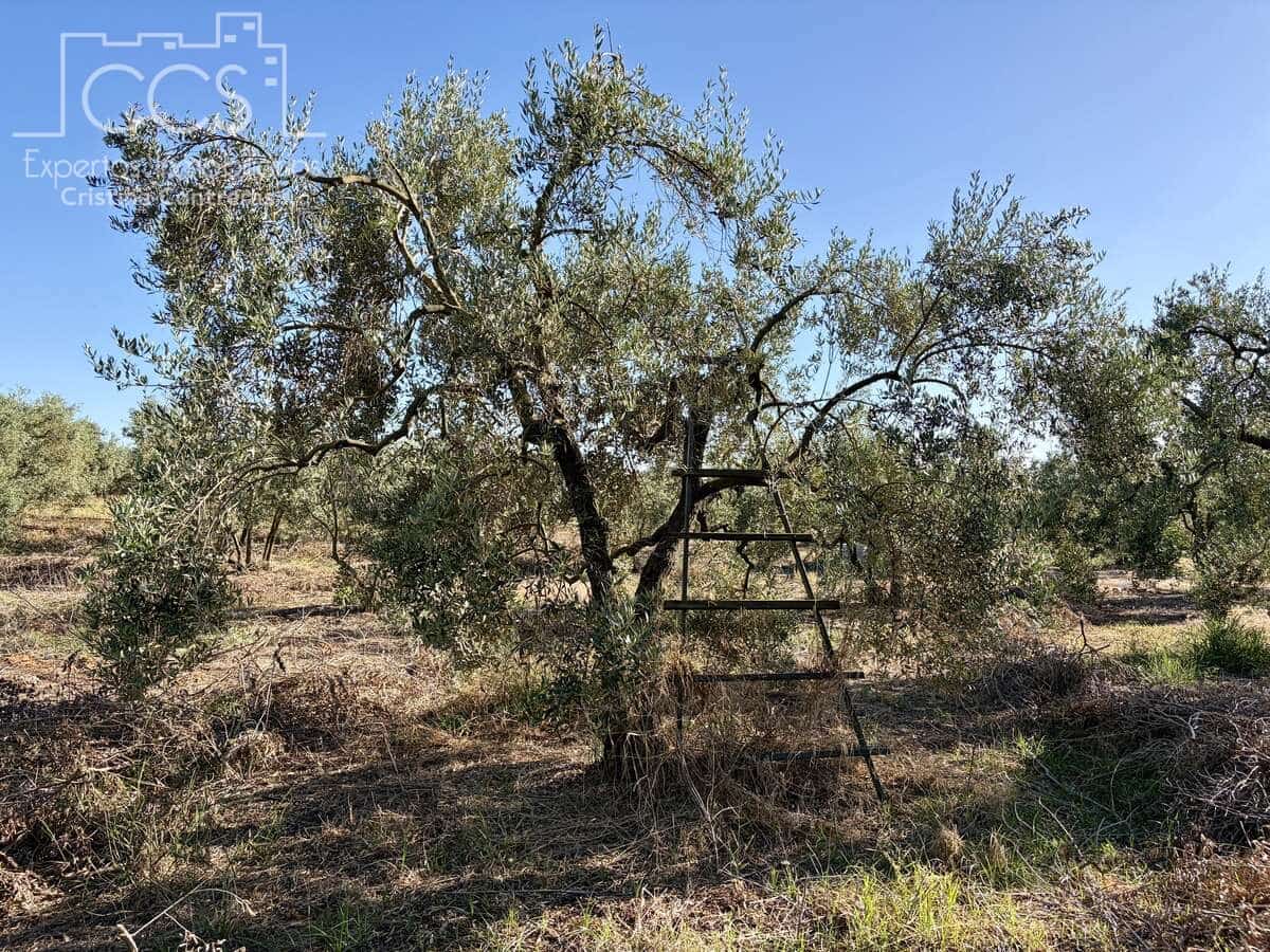 3 soveværelse Finca/Landehus til salg i Pilas med swimmingpool - € 180.000 (Ref: 9935410)