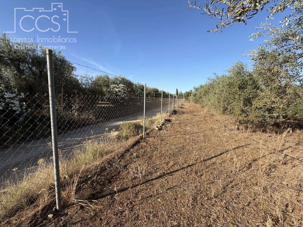 3 soveværelse Finca/Landehus til salg i Pilas med swimmingpool - € 180.000 (Ref: 9935410)