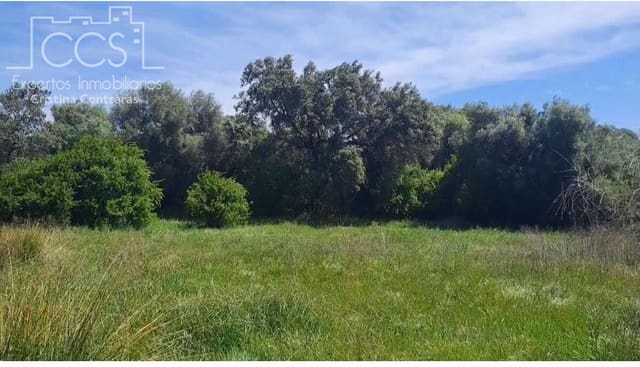 4 Zimmer Finca/Landgut zu verkaufen in El Castillo de las Guardas mit Garage - 348.000 € (Ref: 9943274)