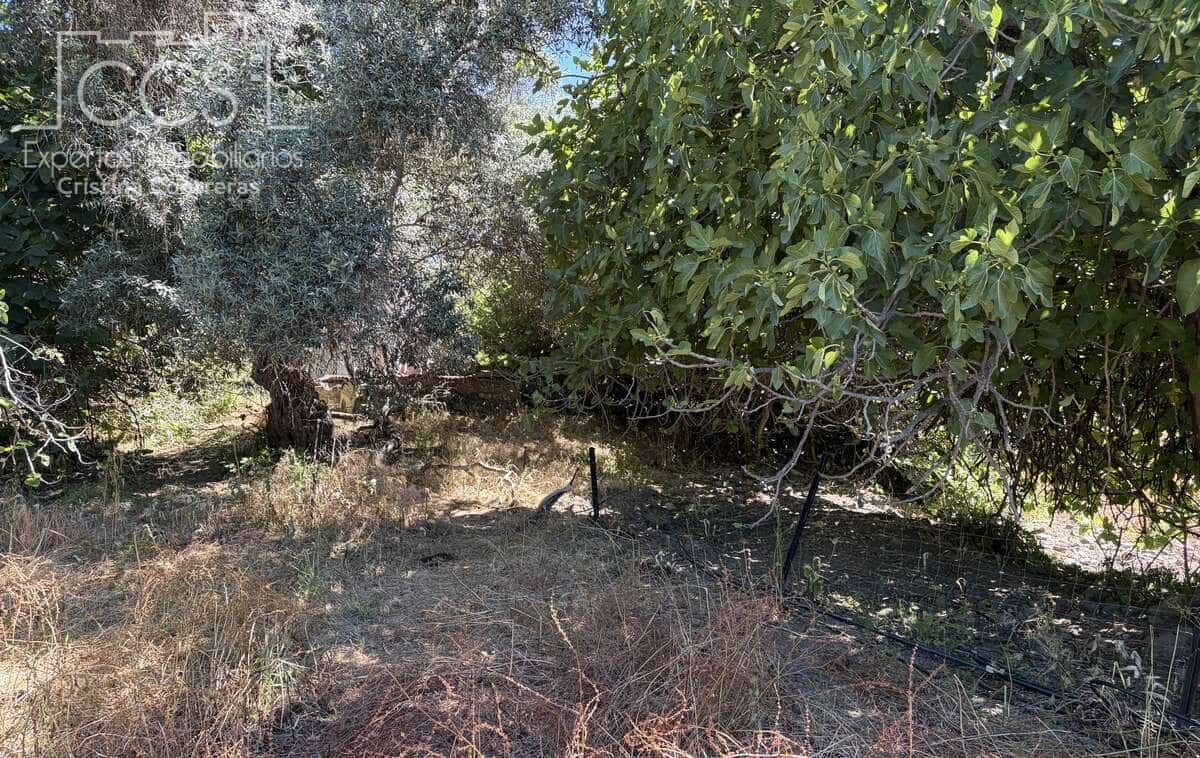 4 bedroom Finca/Country House for sale in El Castillo de las Guardas with garage - € 348,000 (Ref: 9943274)