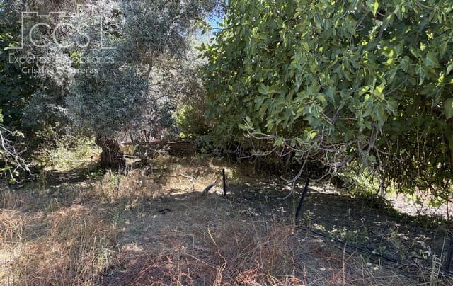 4 bedroom Finca/Country House for sale in El Castillo de las Guardas with garage - € 348,000 (Ref: 9943274)