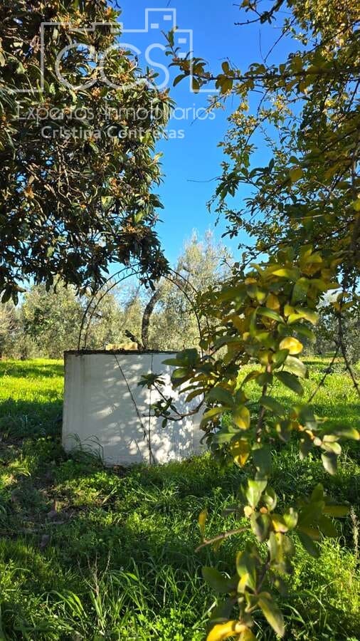 4 bedroom Finca/Country House for sale in Pilas with pool - € 320,000 (Ref: 9984229)