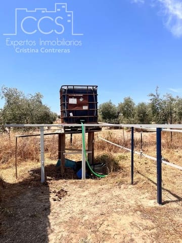 Solar/Parcela en Almonte en venta - 21.000 € (Ref: 9990099)