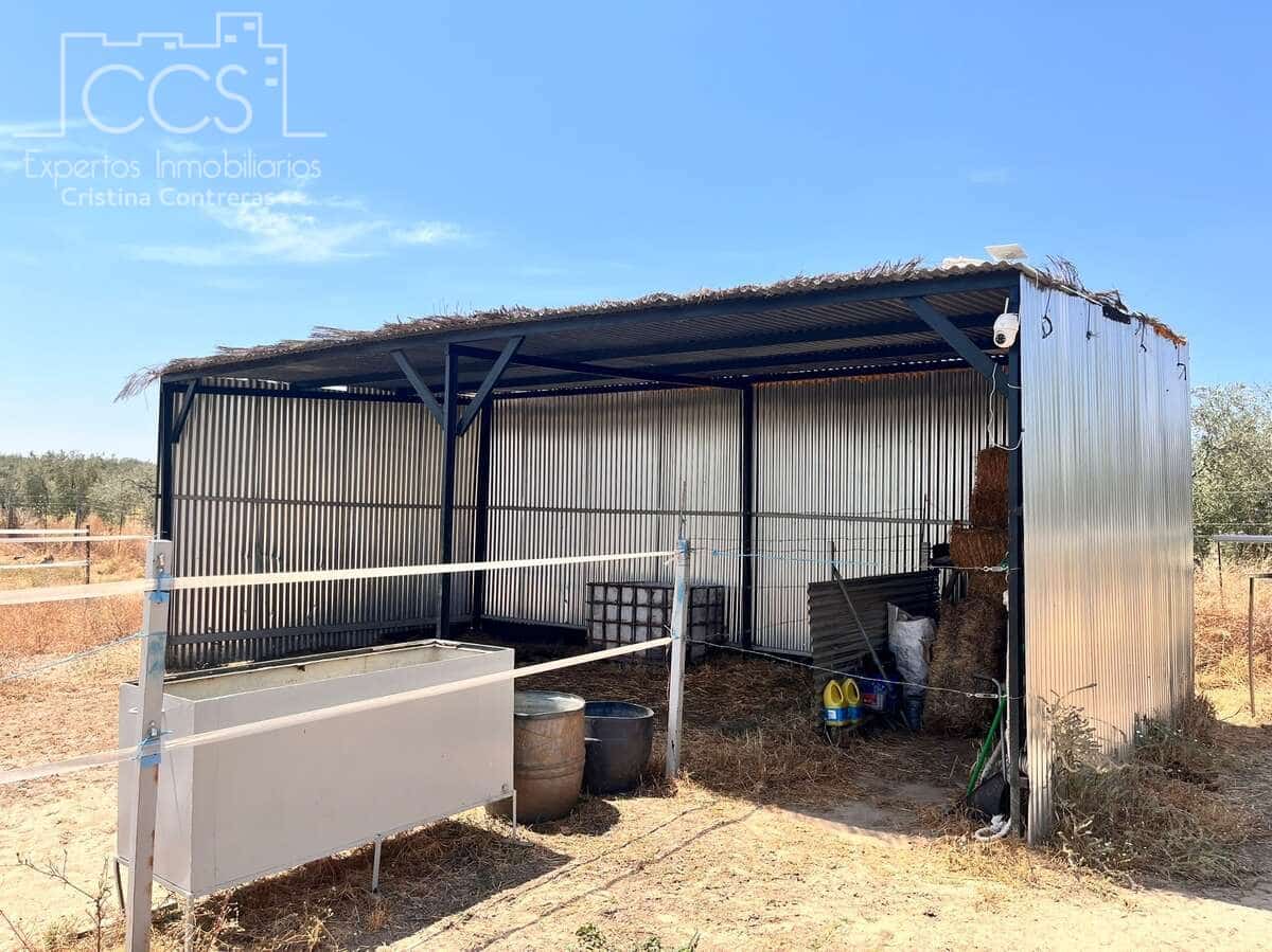 Solar/Parcela en Almonte en venta - 21.000 € (Ref: 9990099)
