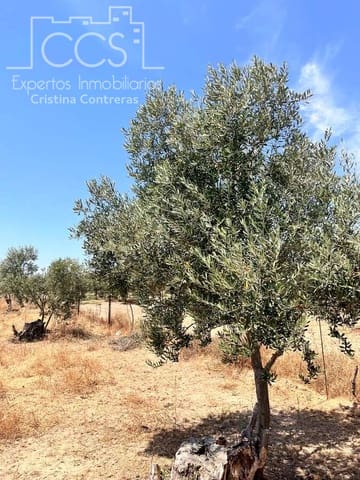 Solar/Parcela en Almonte en venta - 21.000 € (Ref: 9990099)