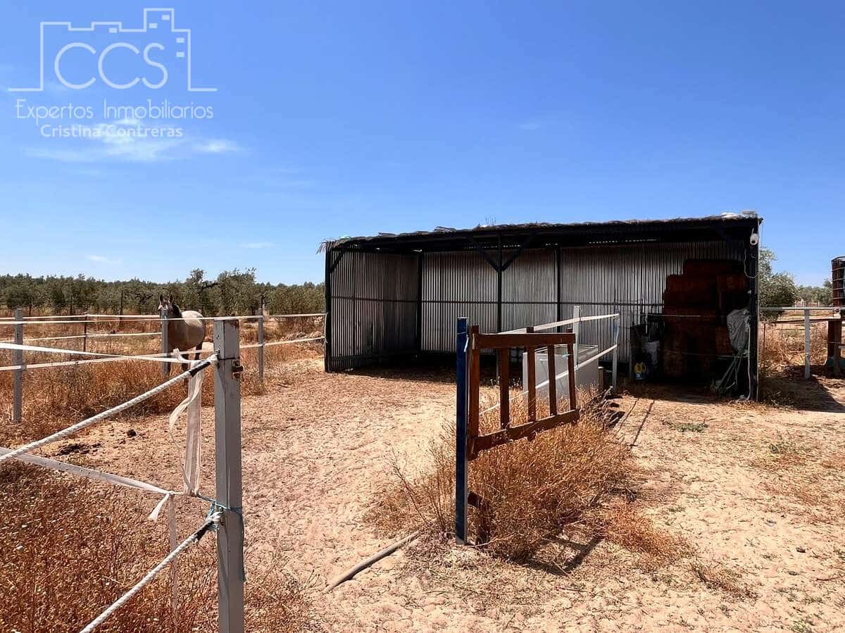 Solar/Parcela en Almonte en venta - 21.000 € (Ref: 9990099)