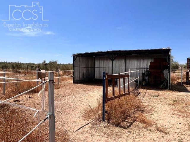 Solar/Parcela en Almonte en venta - 21.000 € (Ref: 9990099)