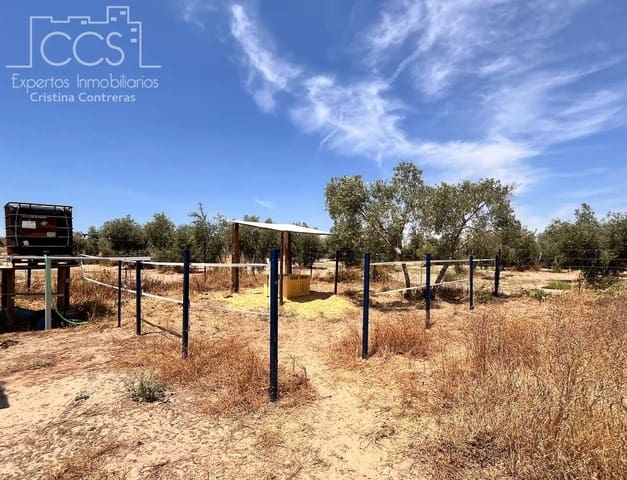 Solar/Parcela en Almonte en venta - 21.000 € (Ref: 9990099)