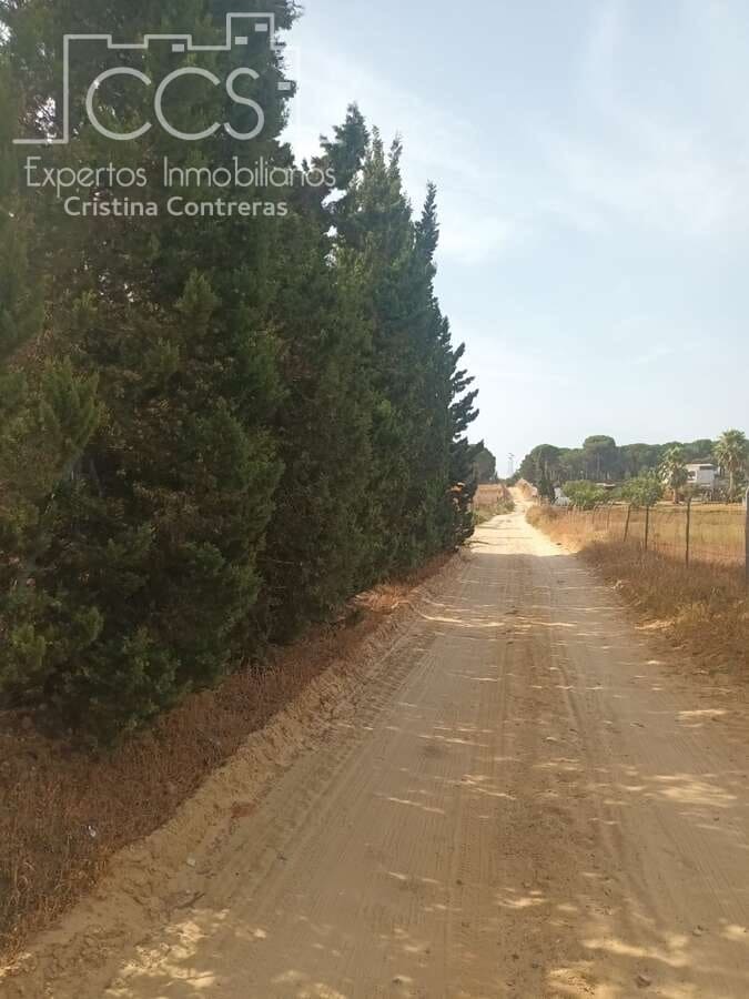 3 sypialnia Finka/Dom wiejski na sprzedaż w Almonte - 122 000 € (Ref: 9999496)