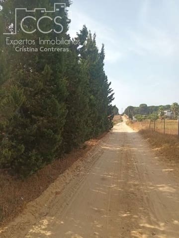 3 sypialnia Finka/Dom wiejski na sprzedaż w Almonte - 122 000 € (Ref: 9999496)