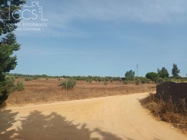 3 sypialnia Finka/Dom wiejski na sprzedaż w Almonte - 122 000 € (Ref: 9999496)