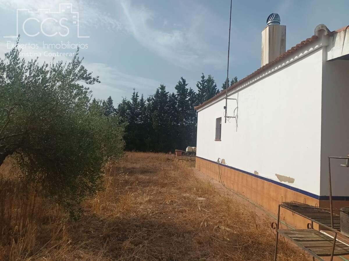 3 sypialnia Finka/Dom wiejski na sprzedaż w Almonte - 122 000 € (Ref: 9999496)
