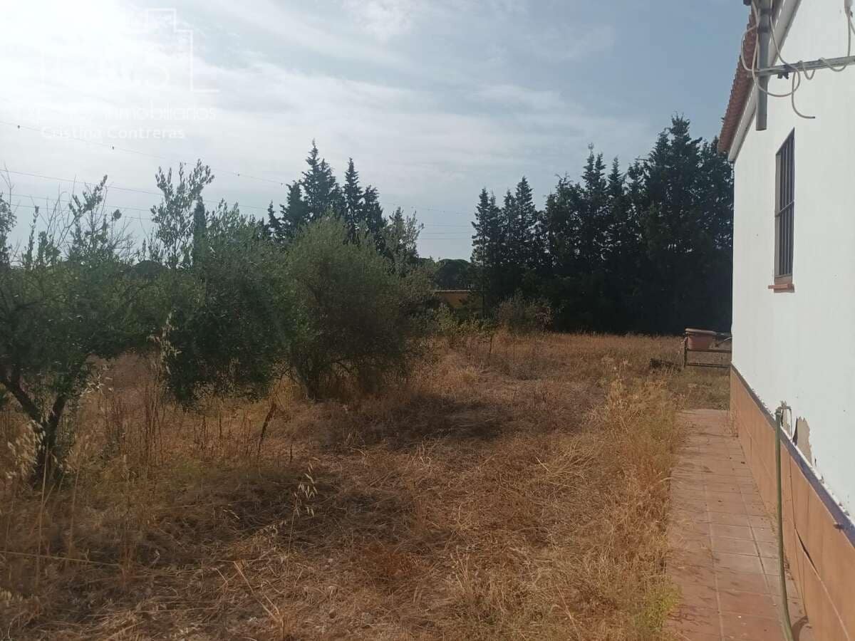 3 sypialnia Finka/Dom wiejski na sprzedaż w Almonte - 122 000 € (Ref: 9999496)