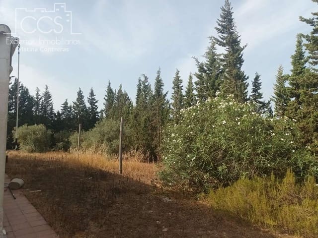 3 sypialnia Finka/Dom wiejski na sprzedaż w Almonte - 122 000 € (Ref: 9999496)