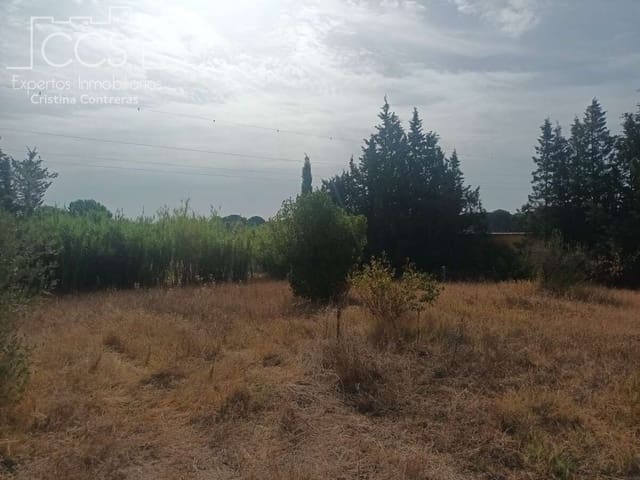 3 sypialnia Finka/Dom wiejski na sprzedaż w Almonte - 122 000 € (Ref: 9999496)
