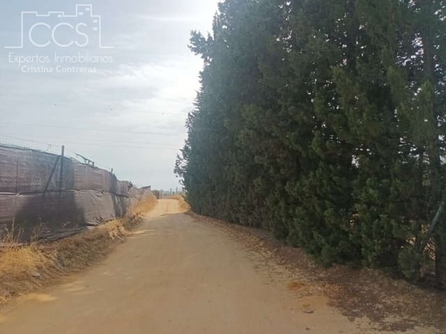 3 sypialnia Finka/Dom wiejski na sprzedaż w Almonte - 122 000 € (Ref: 9999496)
