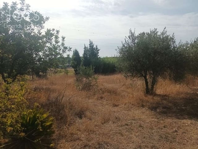 3 sypialnia Finka/Dom wiejski na sprzedaż w Almonte - 122 000 € (Ref: 9999496)
