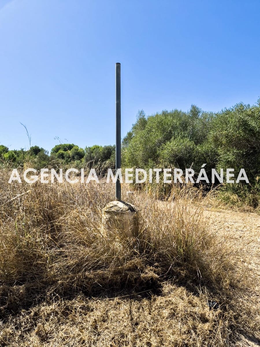 Area Edificabile in vendita in Picassent - 68.000 € (Rif: 10076524)