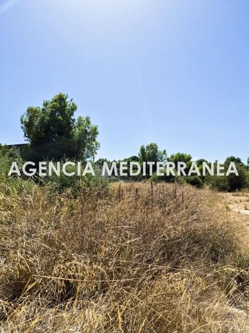 Terreno para Construção para venda em Picassent - 68 000 € (Ref: 10076524)