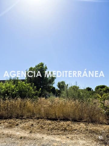 Terreno para Construção para venda em Picassent - 68 000 € (Ref: 10076524)