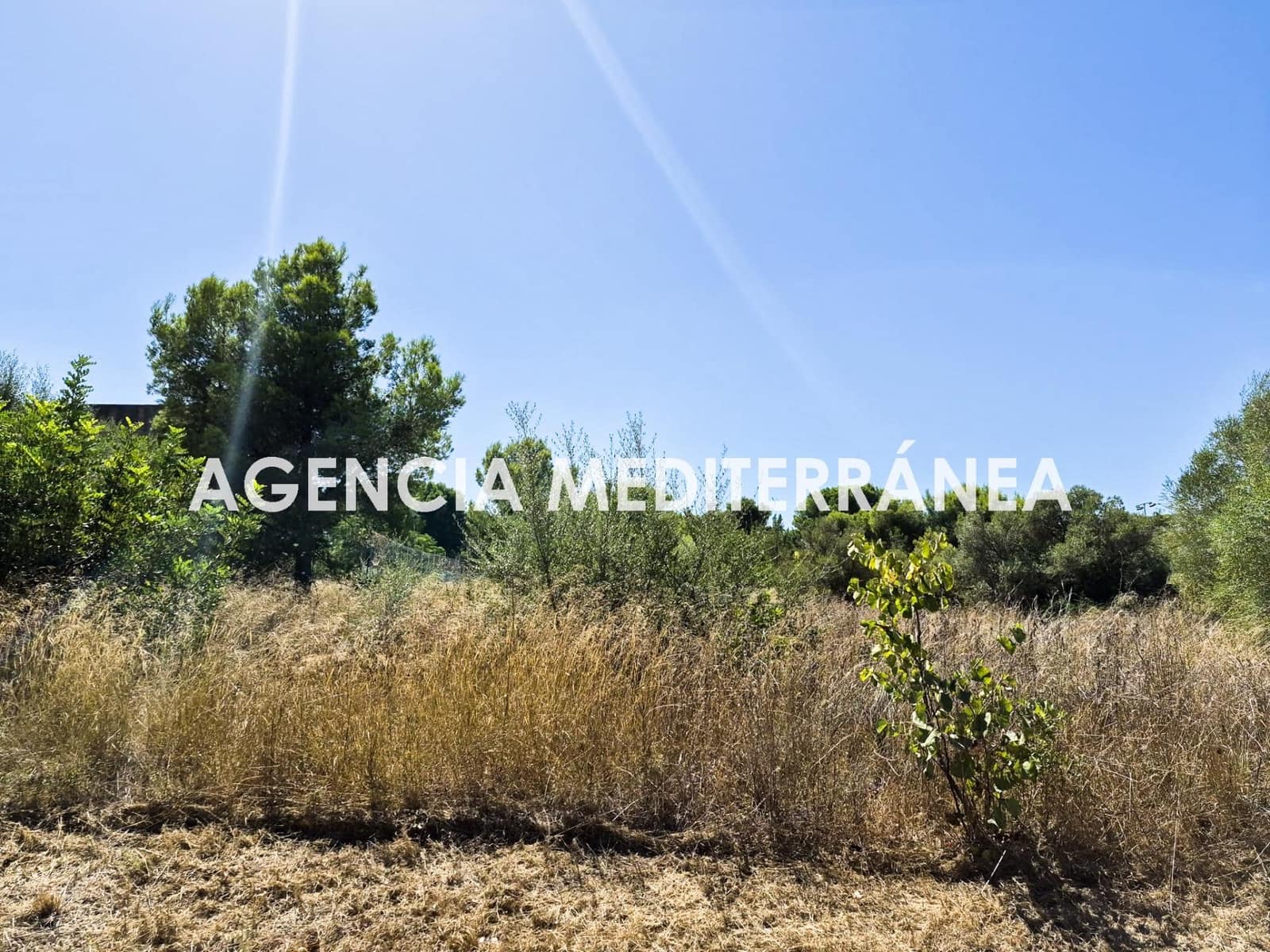 Area Edificabile in vendita in Picassent - 68.000 € (Rif: 10076524)