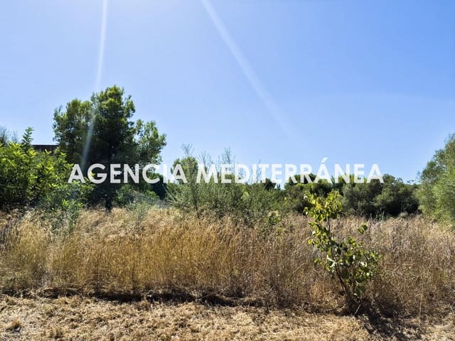 Terreno para Construção para venda em Picassent - 68 000 € (Ref: 10076524)