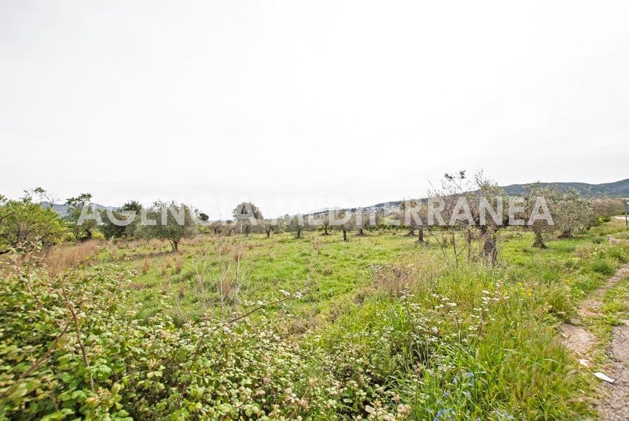 Byggegrund til salg i Orba - € 180.000 (Ref: 6798669)