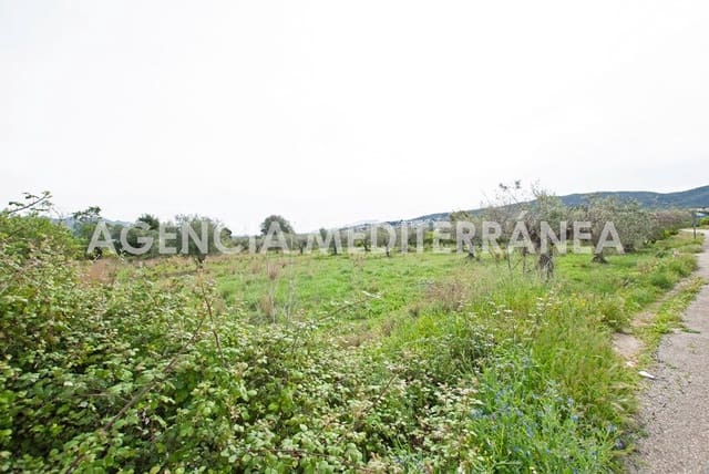 Building Plot for sale in Orba - € 180,000 (Ref: 6798669)