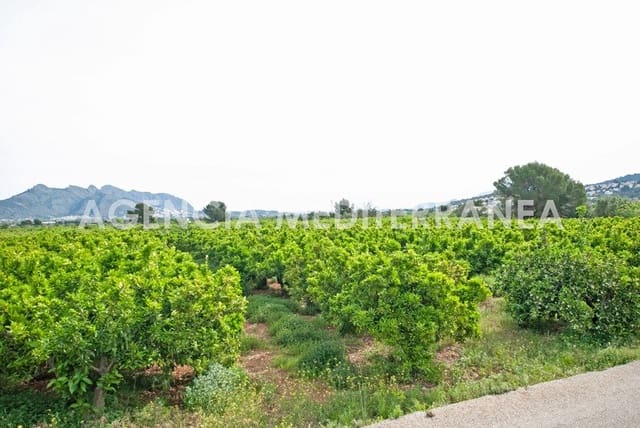 Building Plot for sale in Orba - € 180,000 (Ref: 6798669)