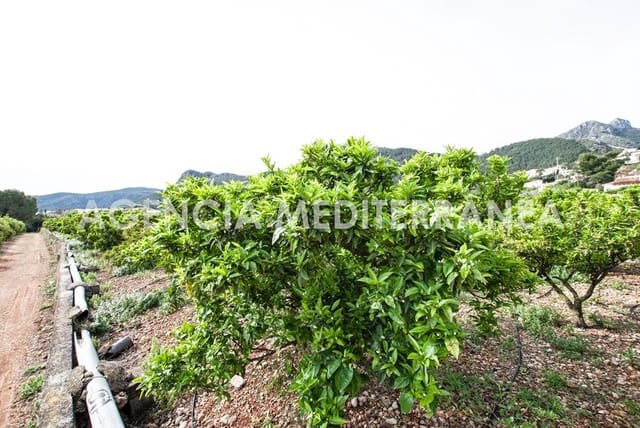 Building Plot for sale in Orba - € 180,000 (Ref: 6798669)