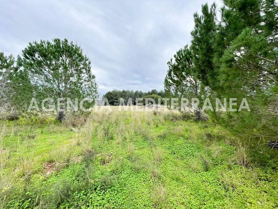 Byggegrund til salg i Beniarbeig - € 150.000 (Ref: 8770363)