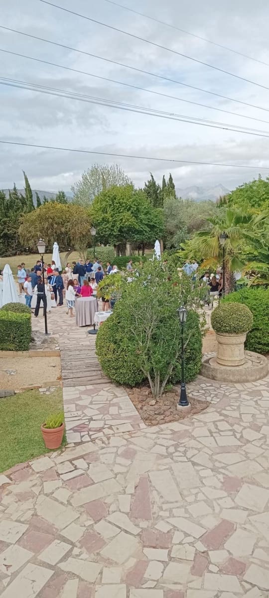 1 bedroom Business for sale in Pedreguer - € 850,000 (Ref: 8897224)