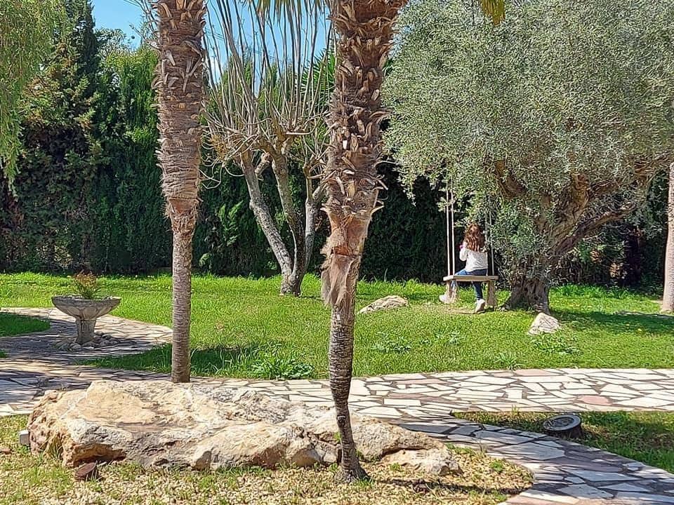 1 bedroom Business for sale in Pedreguer - € 850,000 (Ref: 8897224)