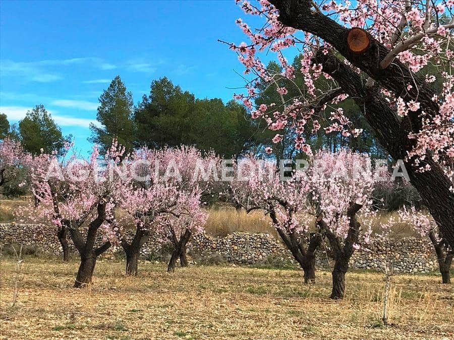Chalet de 3 habitaciones en Alcalalí / Alcanalí en venta con piscina - 450.000 € (Ref: 8937092)