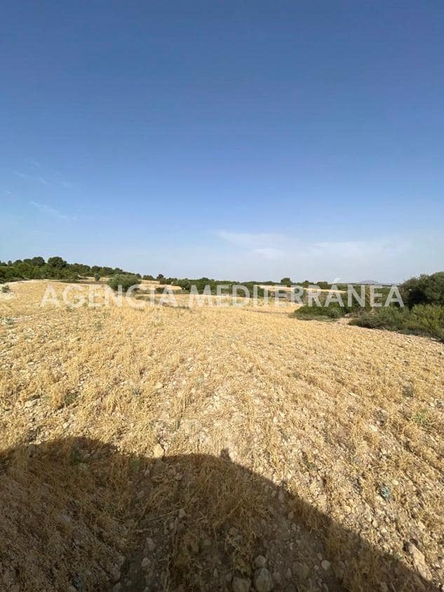 6 soverom Finca/Herregård til salgs i Almansa med svømmebasseng garasje - € 560 000 (Ref: 8946656)