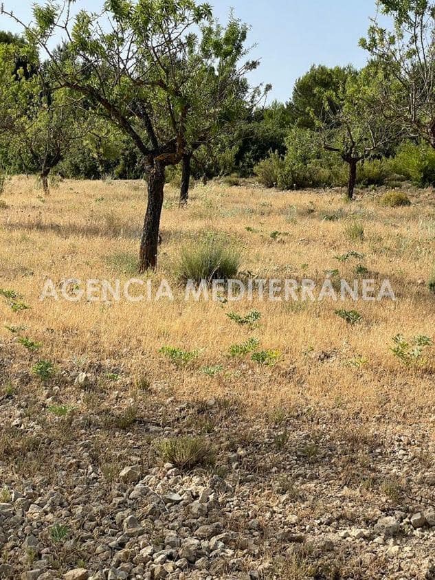 6 soverom Finca/Herregård til salgs i Almansa med svømmebasseng garasje - € 560 000 (Ref: 8946656)