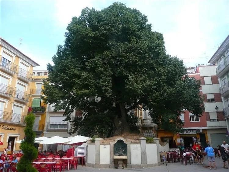 Piso de 6 habitaciones en Navajas en venta - 139.000 € (Ref: 8948990)