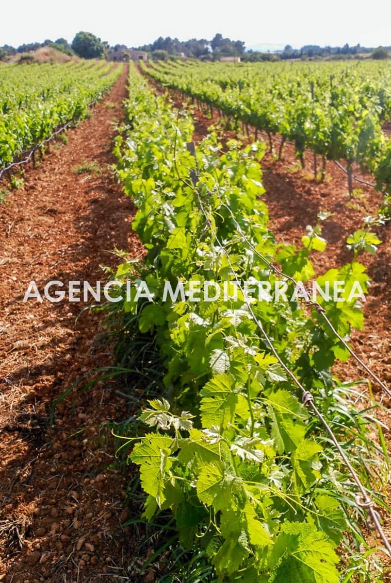 4 sypialnia Finka/Dom wiejski na sprzedaż w Sencelles z basenem - 1 800 000 € (Ref: 9335041)