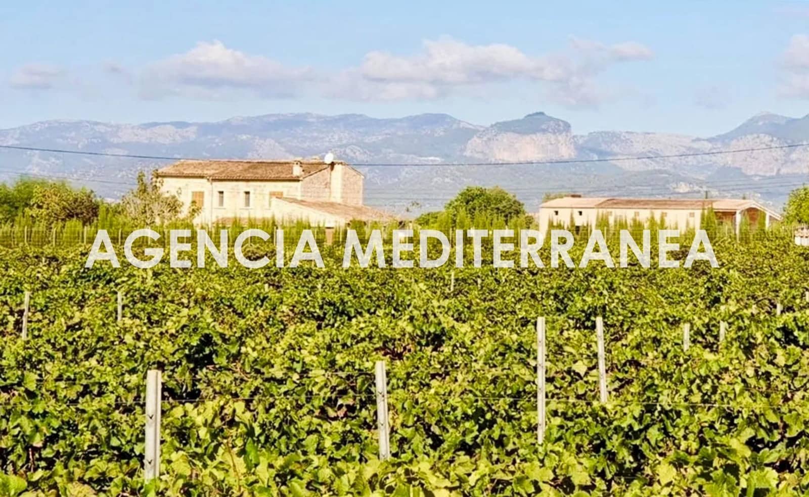 4 sypialnia Finka/Dom wiejski na sprzedaż w Sencelles z basenem - 1 800 000 € (Ref: 9335041)