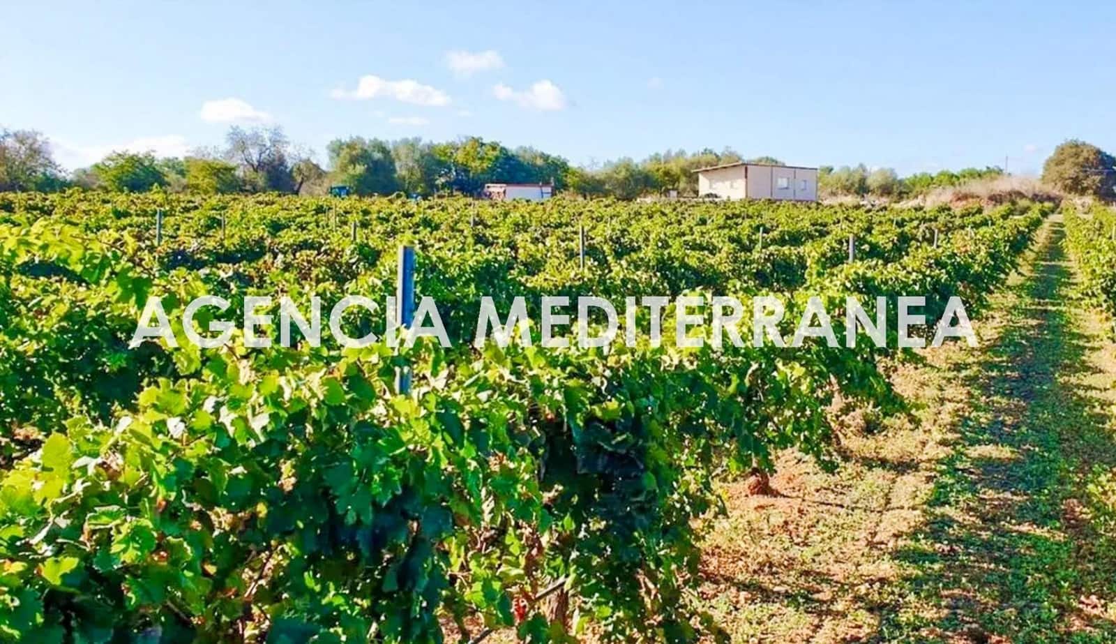 4 sypialnia Finka/Dom wiejski na sprzedaż w Sencelles z basenem - 1 800 000 € (Ref: 9335041)