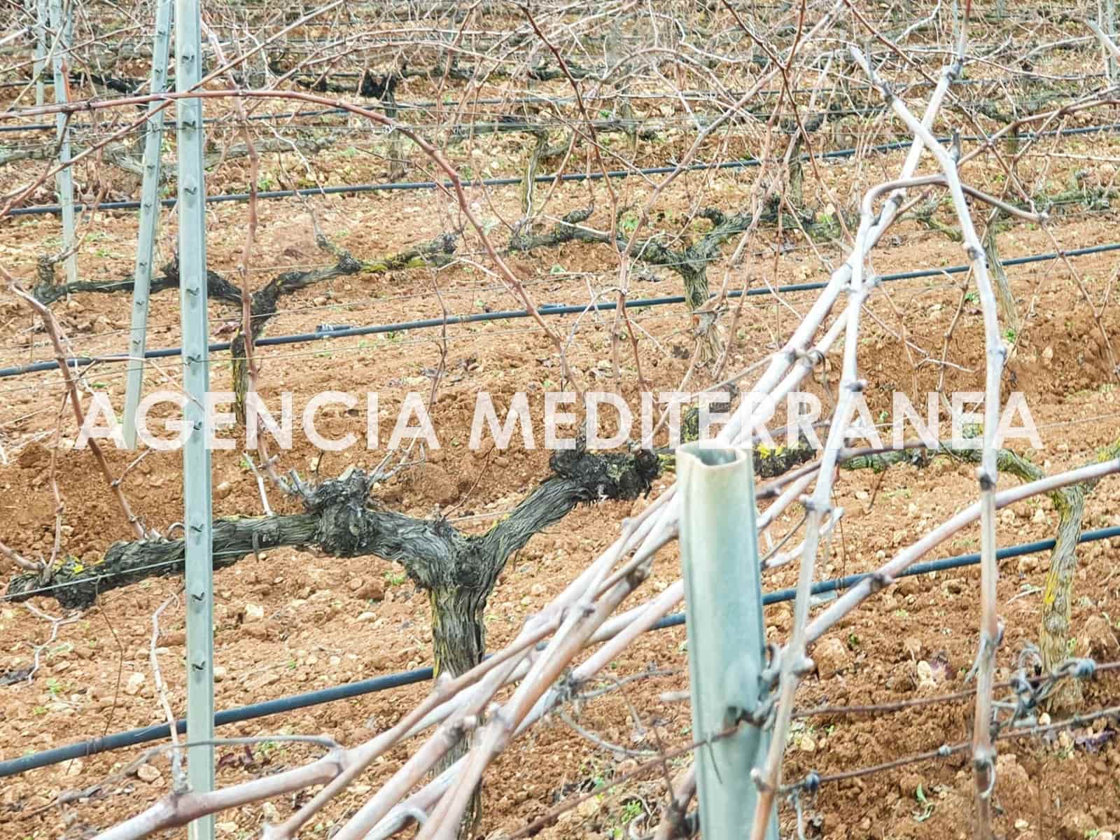 4 sypialnia Finka/Dom wiejski na sprzedaż w Sencelles z basenem - 1 800 000 € (Ref: 9335041)