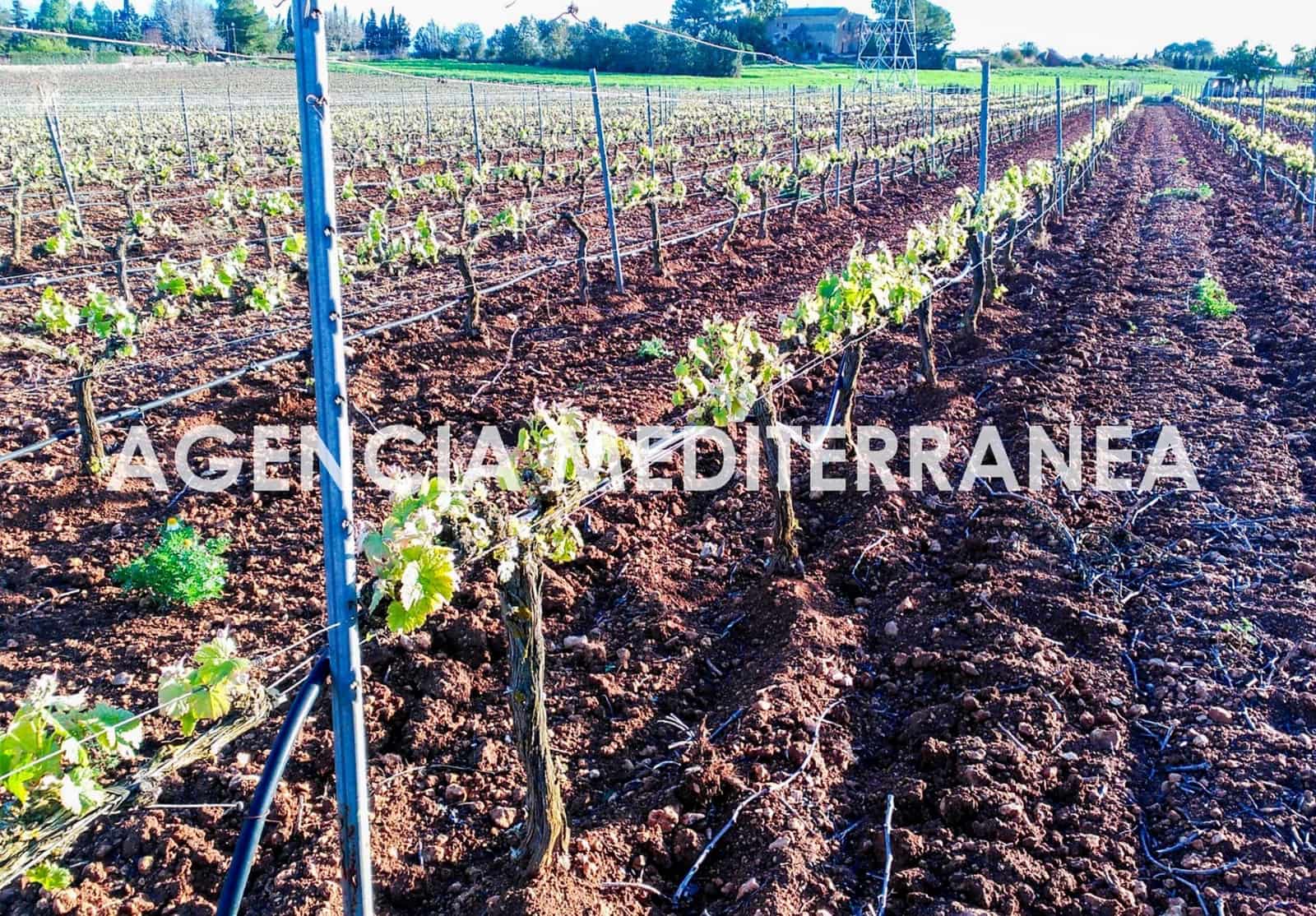 4 sypialnia Finka/Dom wiejski na sprzedaż w Sencelles z basenem - 1 800 000 € (Ref: 9335041)