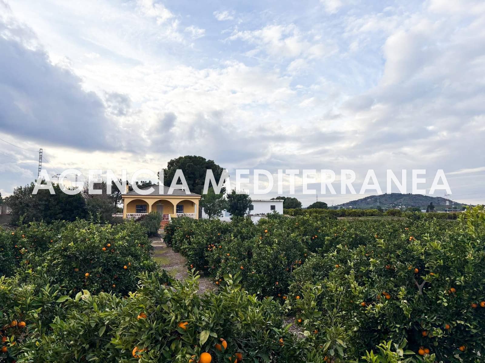 3 Zimmer Finca/Landgut zu verkaufen in Manises - 425.000 € (Ref: 9536026)