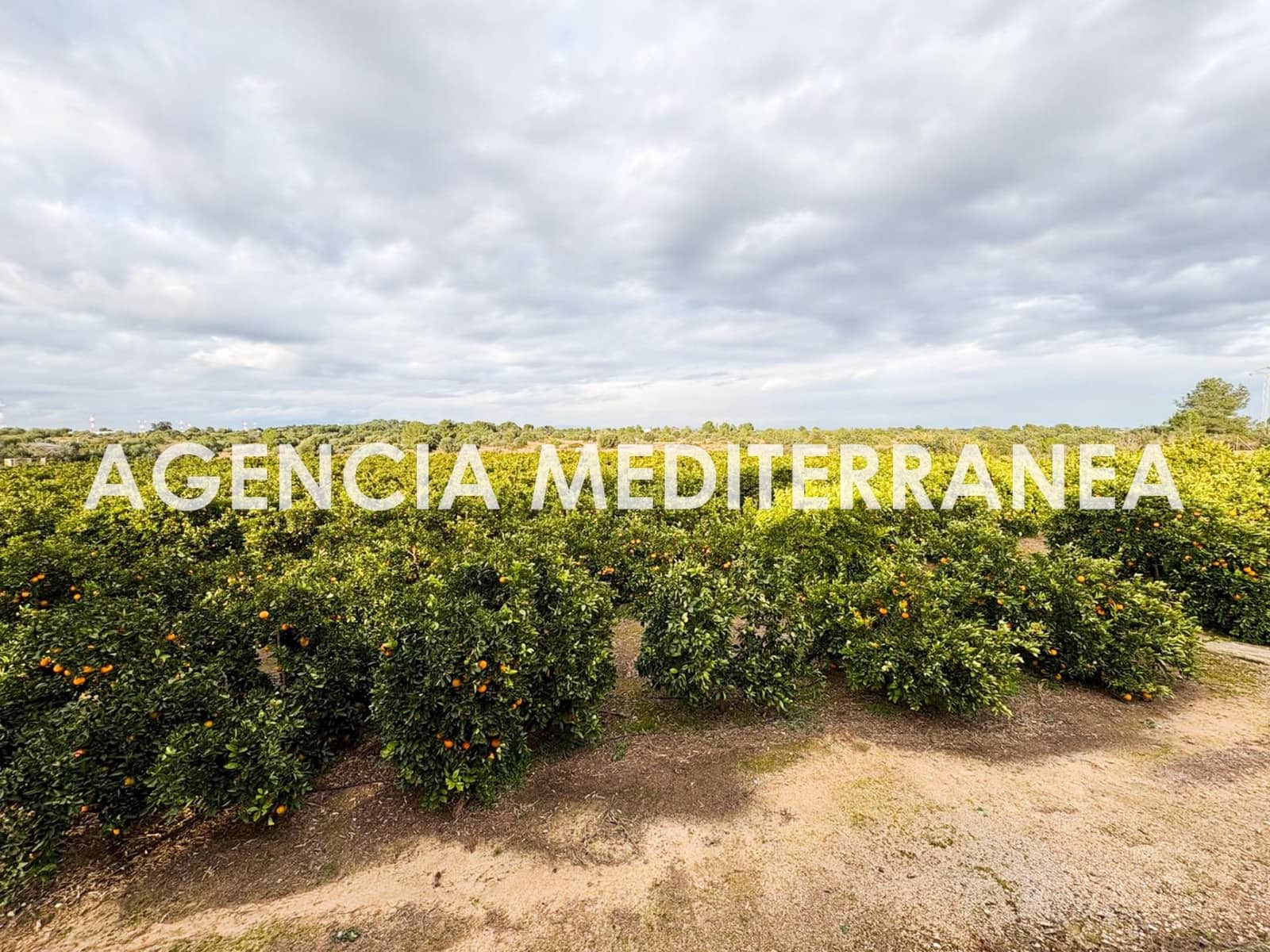 3 Zimmer Finca/Landgut zu verkaufen in Manises - 425.000 € (Ref: 9536026)