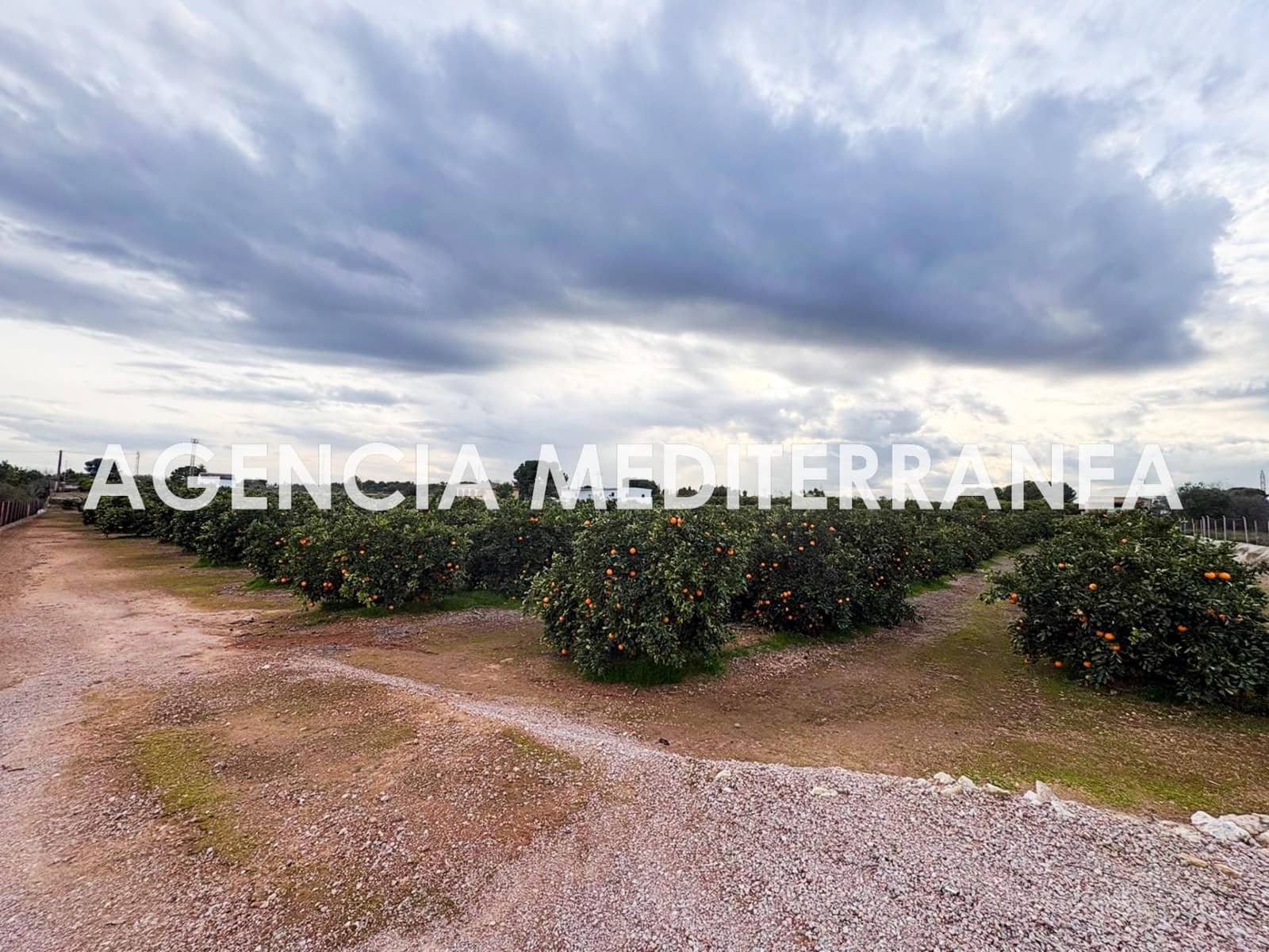 3 Zimmer Finca/Landgut zu verkaufen in Manises - 425.000 € (Ref: 9536026)