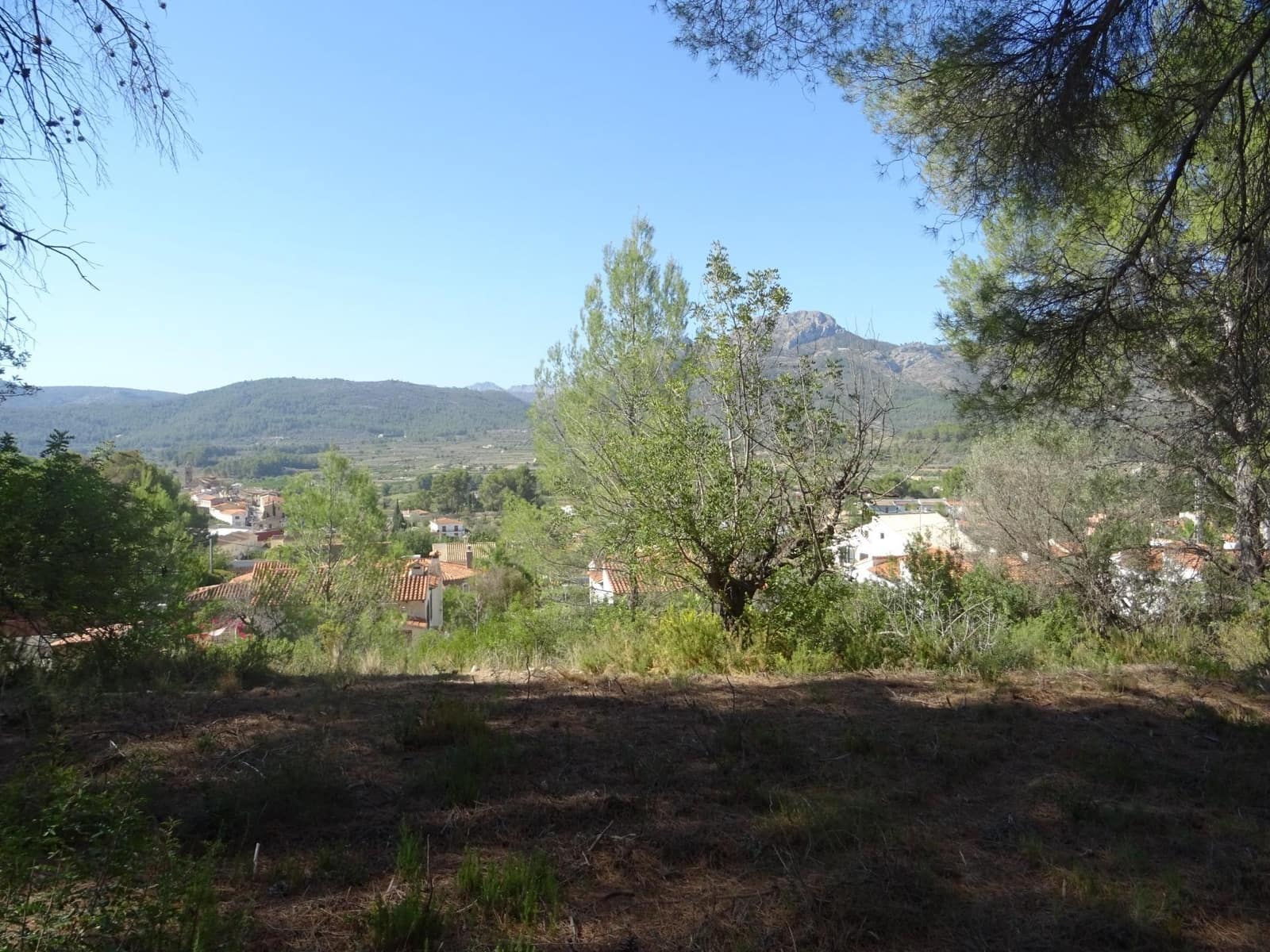 Area Edificabile in vendita in Alcalali / Alcanali - 75.000 € (Rif: 9755809)