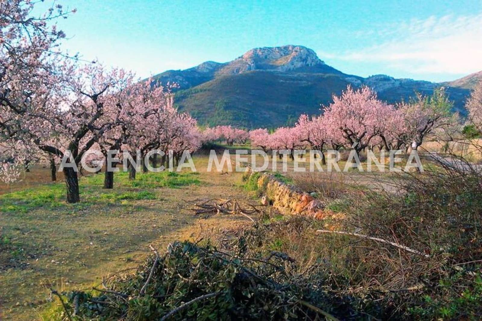 Area Edificabile in vendita in Alcalali / Alcanali - 75.000 € (Rif: 9755809)